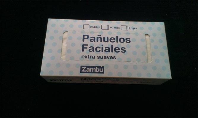 100 sheets Hygenic Paper Tissue Products