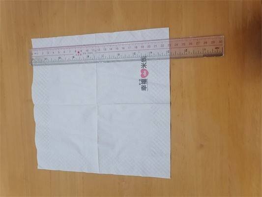 Printed Dinner Napkin Paper Tissue