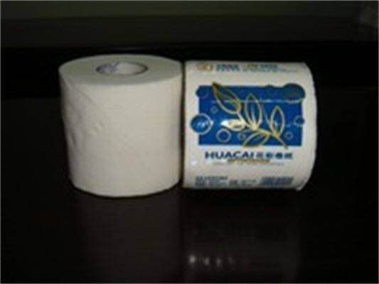 Recycle toilet tissue roll