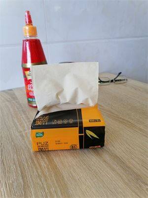 restaurant public tissue paper