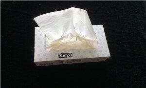 100 Pulls Box Pack Tissue