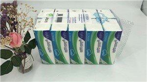 Customized Brand Facial Tissue with Plastic Bag