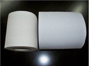 Embossed Pattern Toilet Tissue Paper