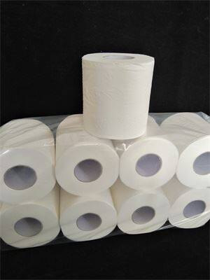 10 rolls White Ultra Soft Bath Tissue Roll