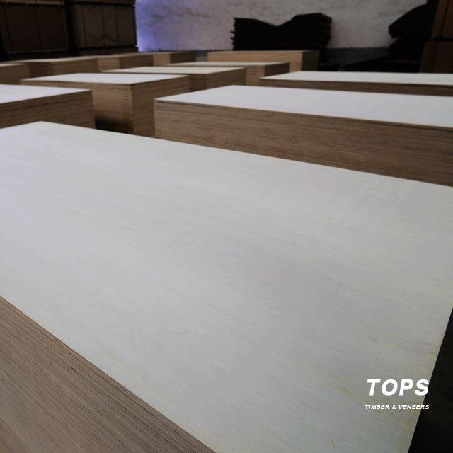 Bleached Poplar Plywood LVB LVD LVL For Furniture