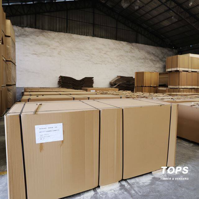 Bleached Poplar Plywood LVB LVD LVL For Furniture