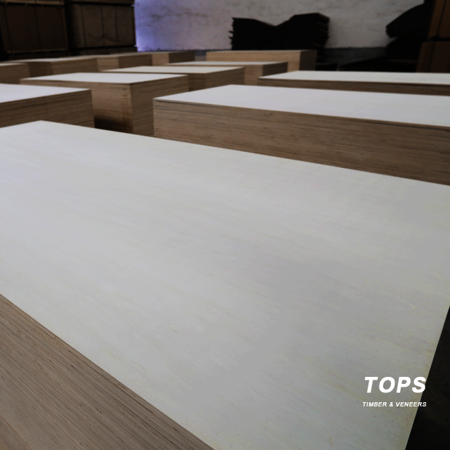 Poplar Veneer Plywood