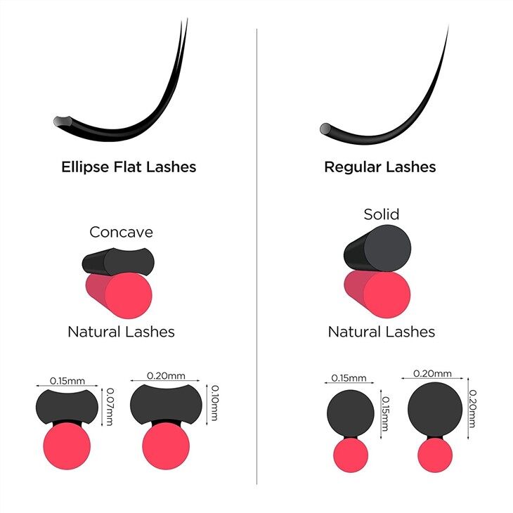 ellipse flat lashes