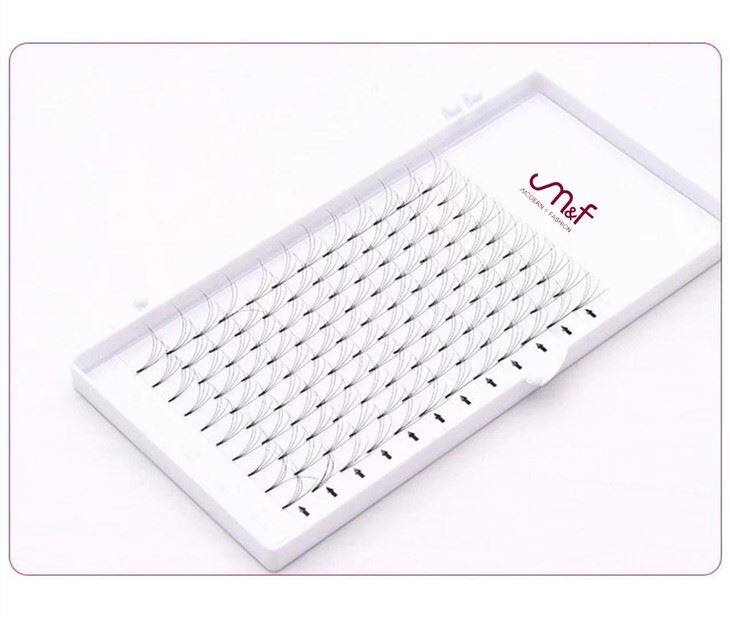 4Dpremade fan lashes