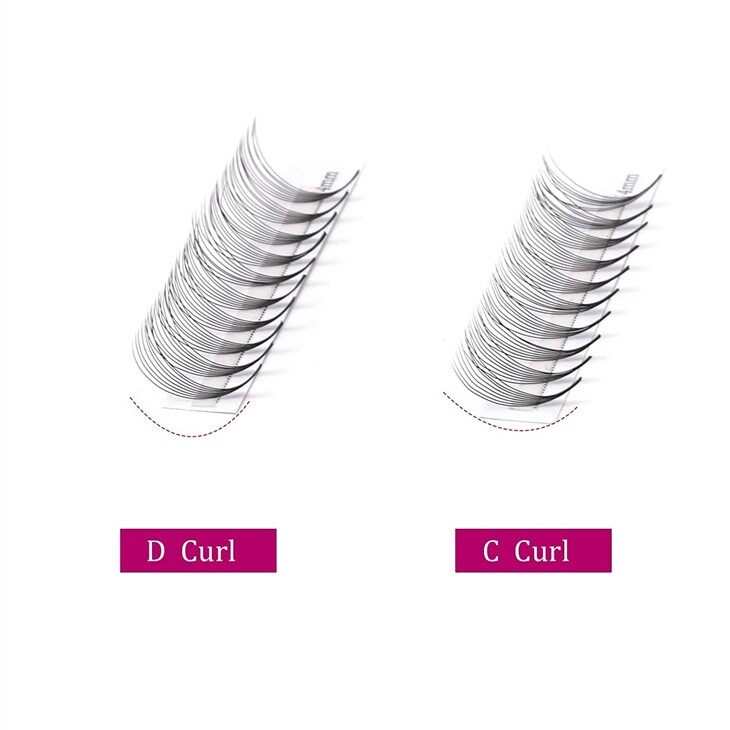 8D fan lashes curl