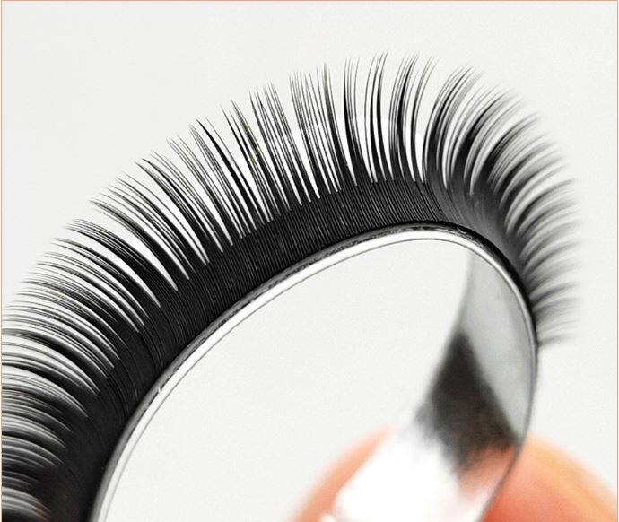 bottom eyelash
