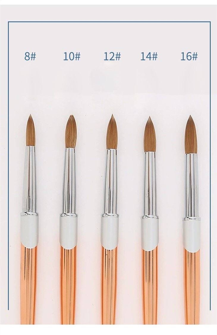 professional nail art brush