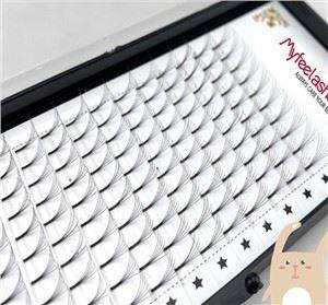 Uzoq asosli klasterli kirpiklar