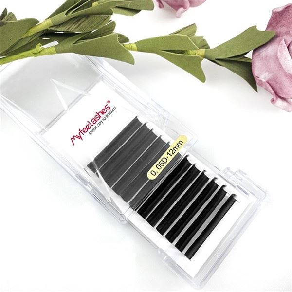 Withdrawal Style Lashes Extensions