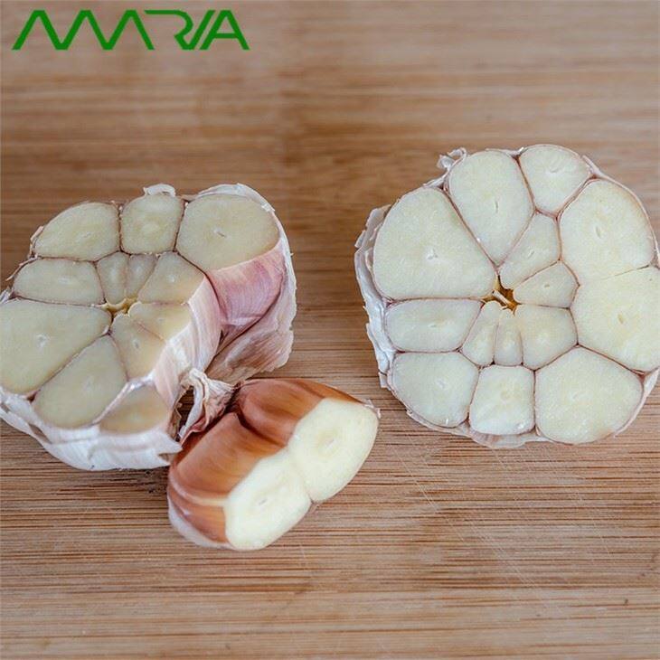 China 2021 New Crop Garlic