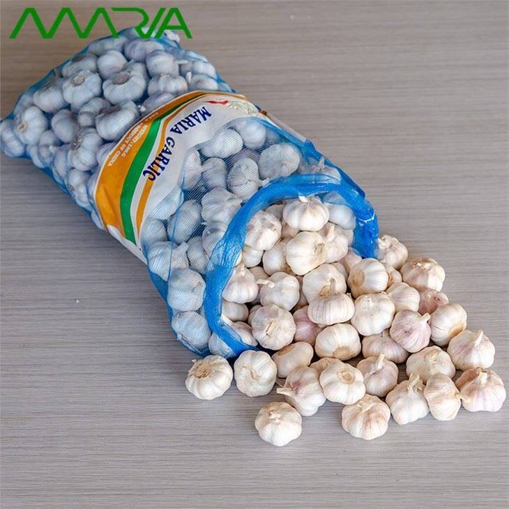 China 2021 New Crop Garlic