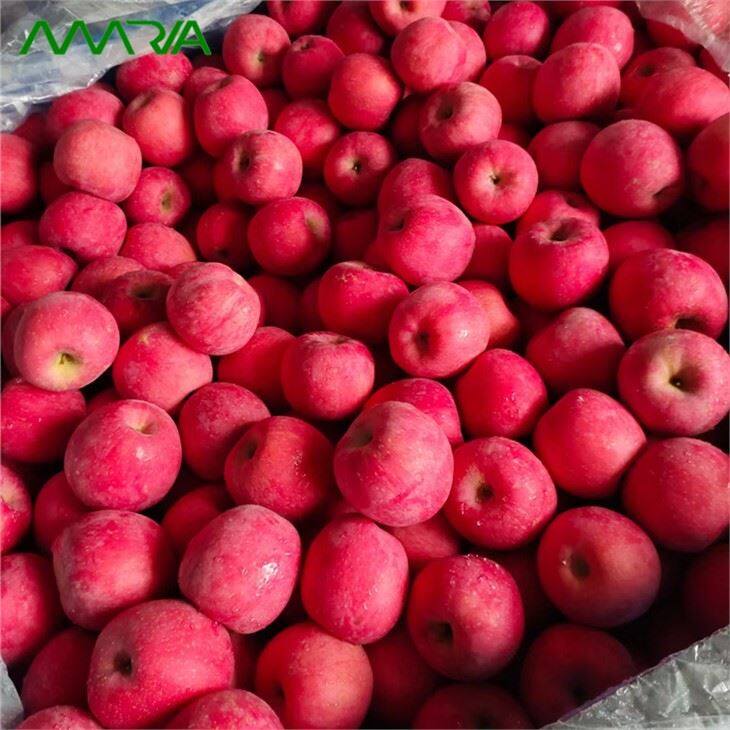 Manzana Fuji Fresca