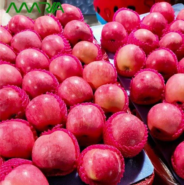 Fresh Fuji Apple