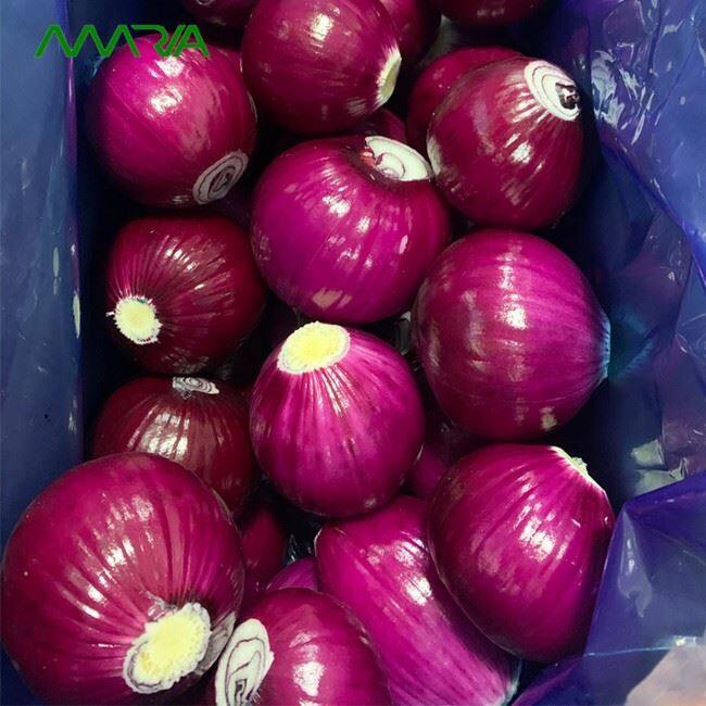 Fresh Peeled Onion