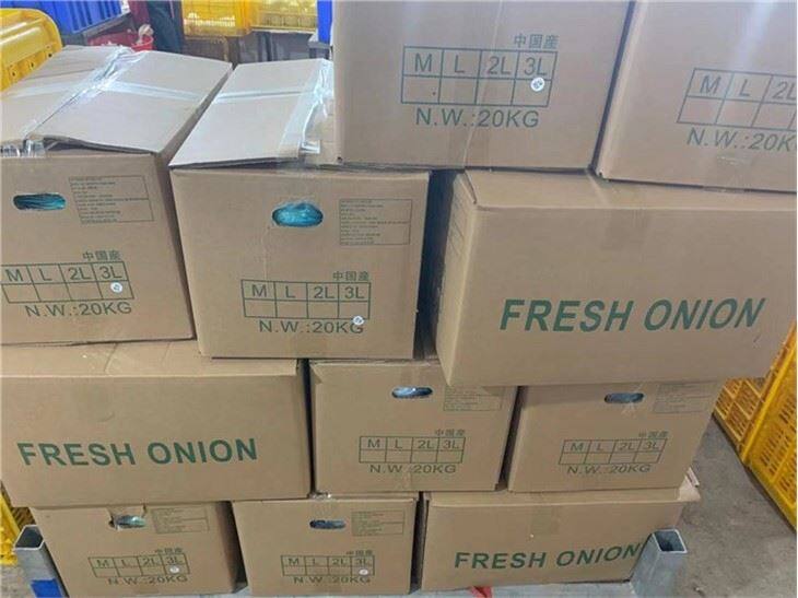 Fresh Peeled Onion