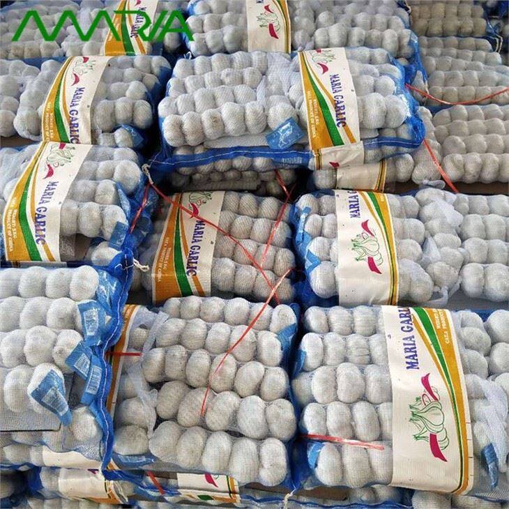 Normal White Garlic Retail Packing