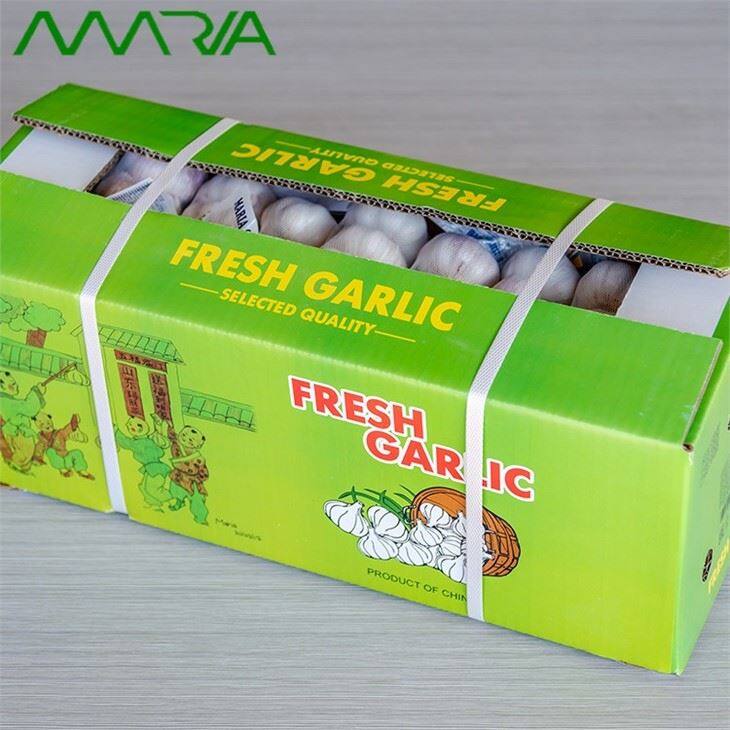 Normal White Garlic Retail Packing