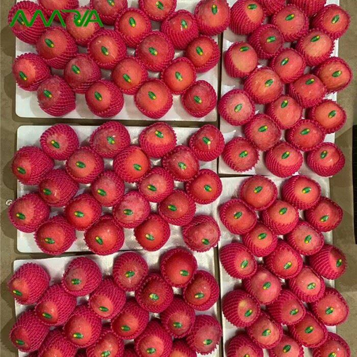 Red Fuji Apples