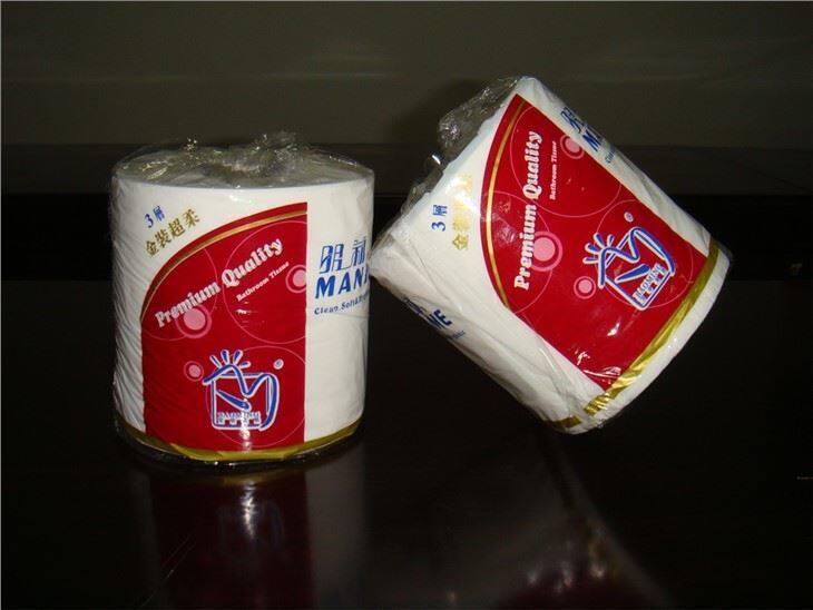 10 Rollen Gentle Touch Toilettenpapier