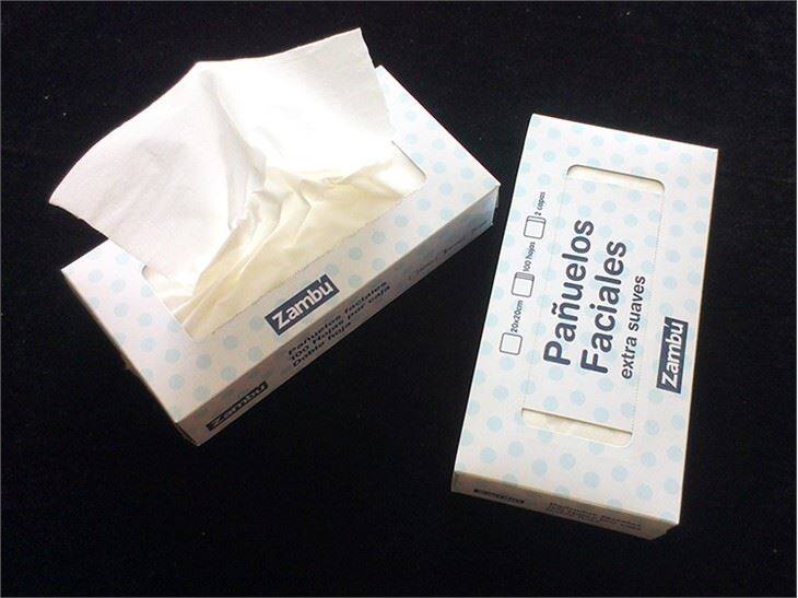 2 Ply Box Facial Tissue