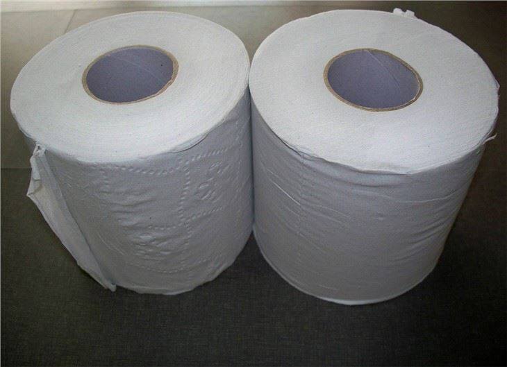 Recycle toilet tissue paper rolls USA