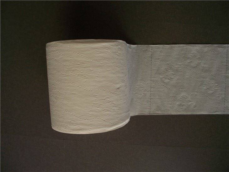 gentle Touch Toilet Tissue