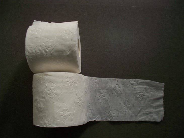 Embossed toilet tissue paper