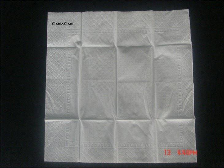 pocket tissue 21x21cm