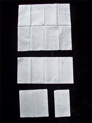Napkin(8 fold)