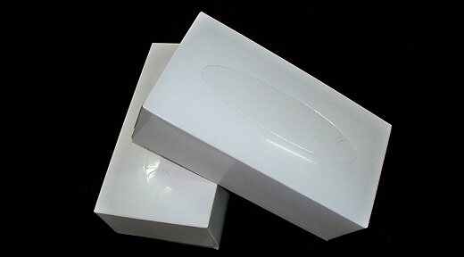 2 Ply Box Facial Tissue