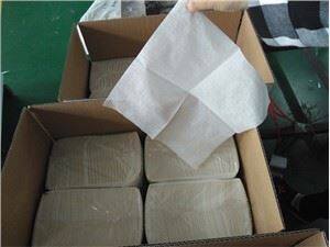 Starbucks Style Soft Paper Napkin