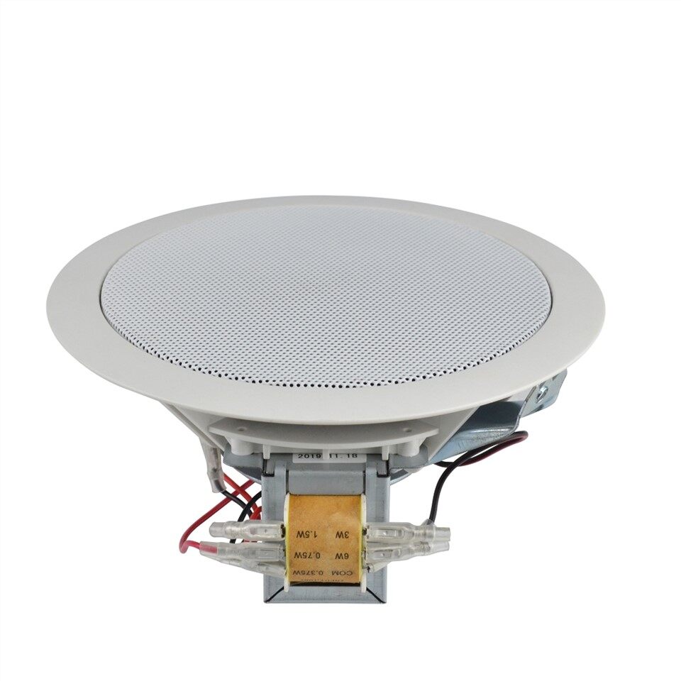 Wireless Speakers Ceiling