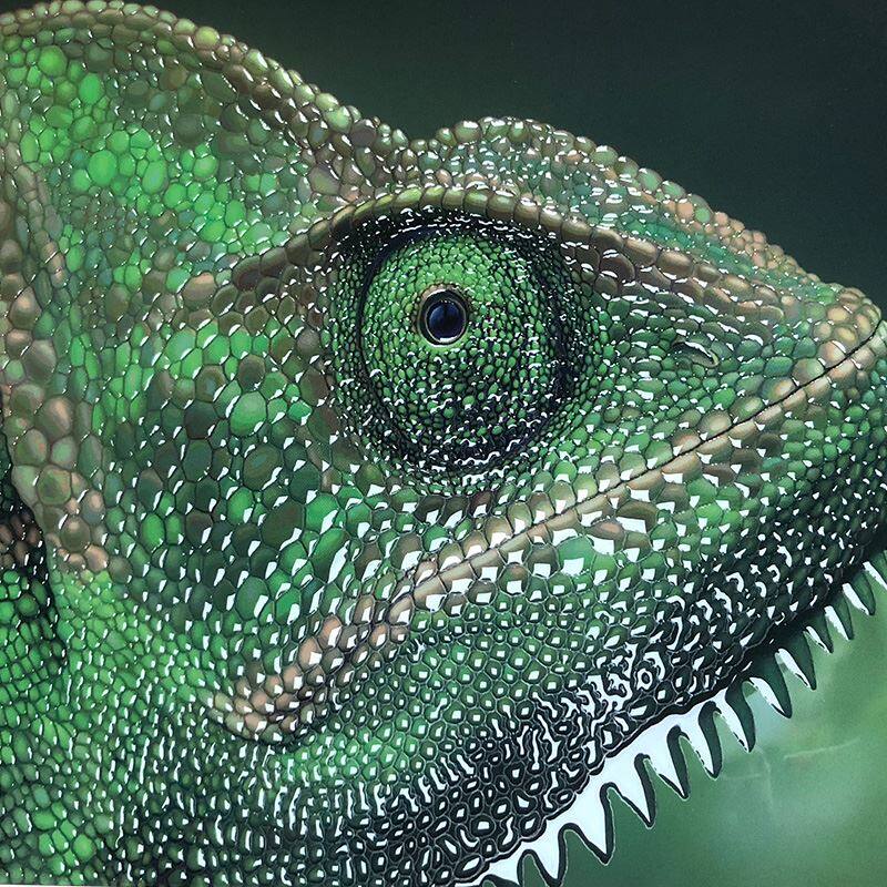 Scodix デジタル点字カード