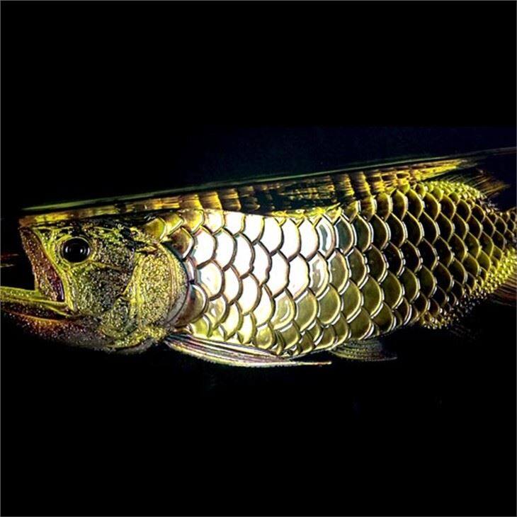 Scodix Digital Braille Cards