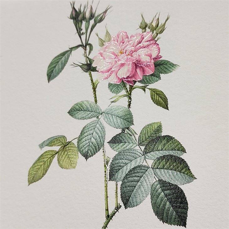 Scodix Digital Braille Cards