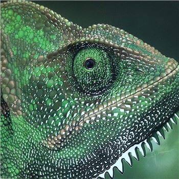 Scodix Digital Braille Cards