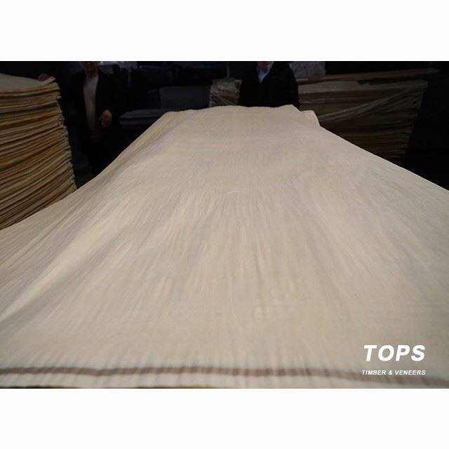 중국 화이트 자작 나무 베니어 제조 업체 및 공급 업체 - 공장 직접 도매 - TOPS TIMBER