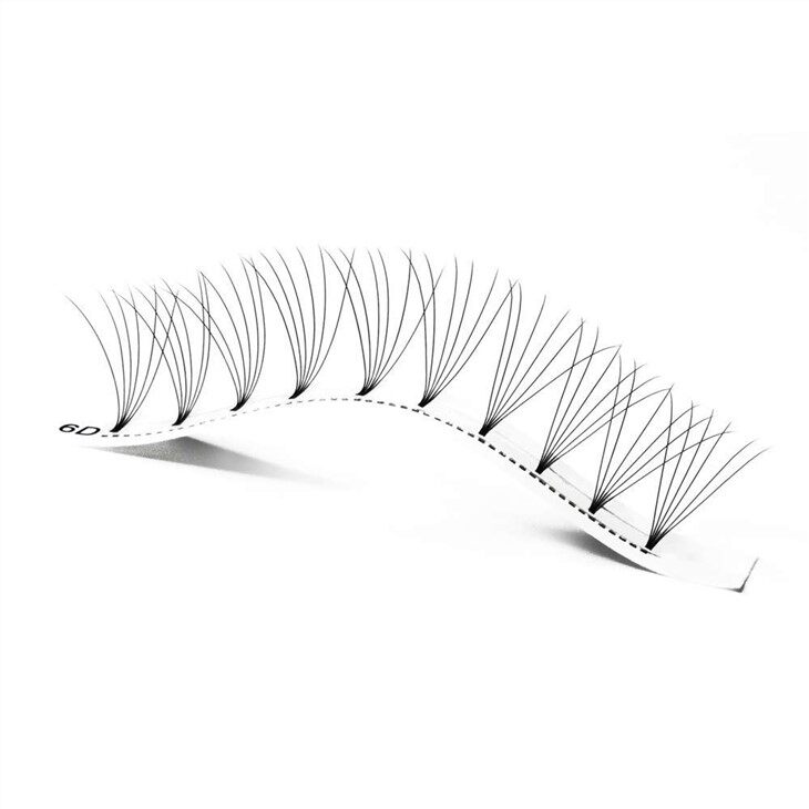 6D pre fans  lashes