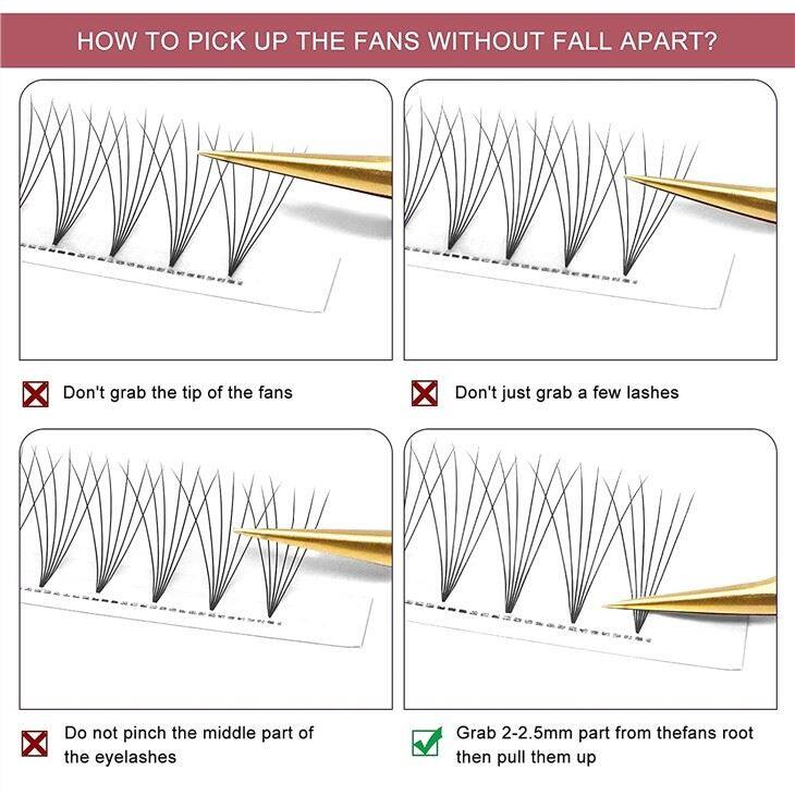 6D pre fans volume lashes
