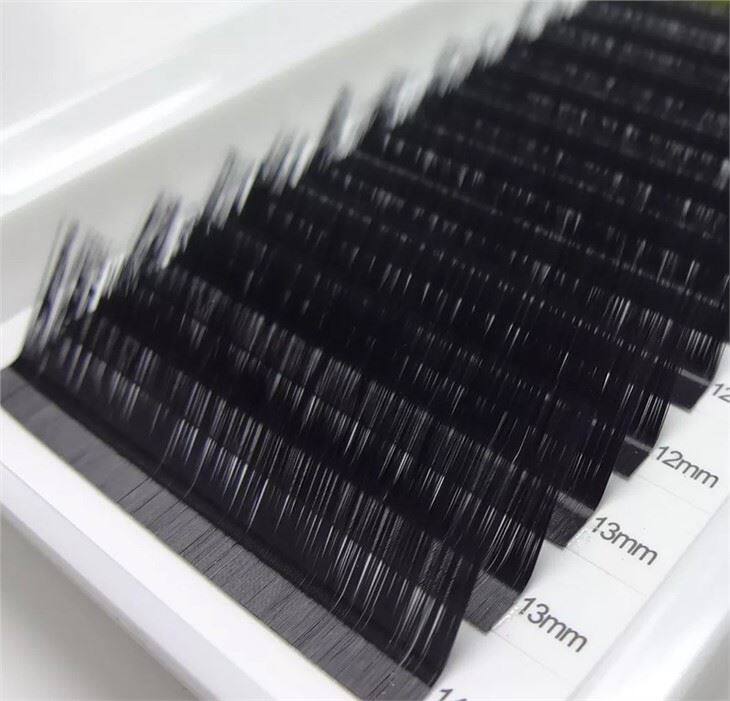 curl L Lashes extesion