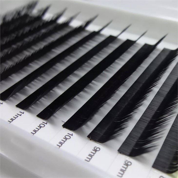 L curl lashes extension