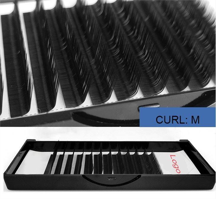 curl m lashes