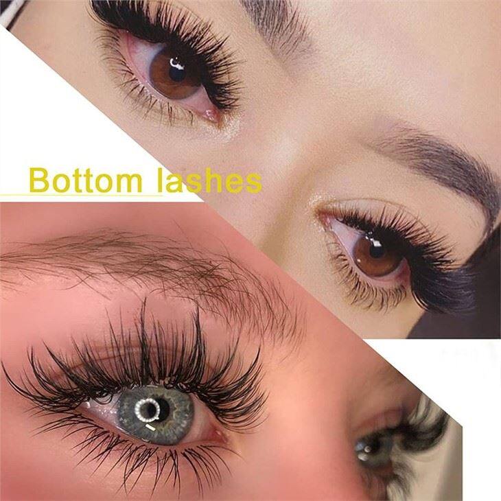 bottom lashes beauty