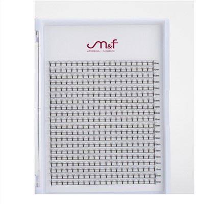 6D ফ্যান ল্যাশ 20 সারি