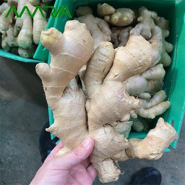 Ginger 2022 New Crop